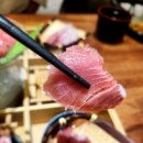 강참치 이미지