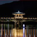 사랑의 다리 이미지