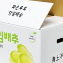하나농산물직판