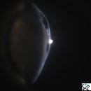 백현 동물병원 이미지