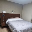 베스트 소프트 | 베스트 슬립 이켈로스 소프트 내돈내산 후기