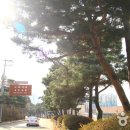 수원-1331 이미지