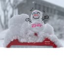 라라부동산공인중개사사무소 이미지