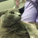 선동물병원 이미지