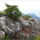 남해-238 이미지