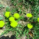 서생포왜성주차장 이미지