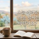 약사부동산중개사무소 | 해바라기 유치원 ‘오감 핀(Pin) 상설 전시회