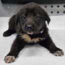 마평동쉼터 이미지