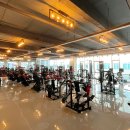 더 디짐 이미지