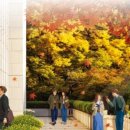 호수준의원 이미지