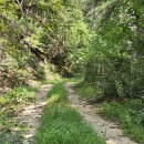 경기둘레길 양평29코스 | 경기둘레길 29코스 양평구간 *계정1리 마을회관~몰온고개* (25.08.19)