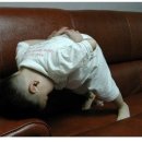 댕수무강 이미지