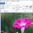 그림판 활용법- 이미지위에 글 올리기 이미지