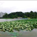 춤연