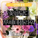 중랑구 사가정 꽃집 당일 예약 가능 늦게까지 하는 꽃다발 맛집 꽃을닮다 루체테 플라워
