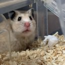 시지동물병원 이미지