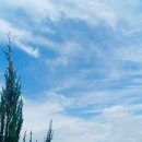 농업미생물실 이미지