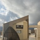 소노펠리체 델피노 이미지