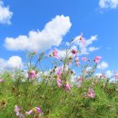 연천 호로고루 이미지