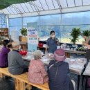 고추골솔바람마을 이미지