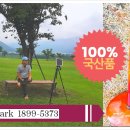 홀리데이파크골프 Daum카페