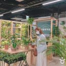 문화공간 가꾸기 이미지