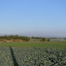 인성리-2 이미지