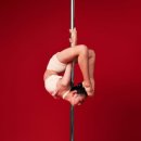 폴케이아카데미 이미지