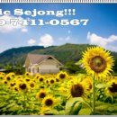 스피드메이트 세종도담점 이미지