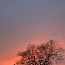 베스트월드빌딩 이미지