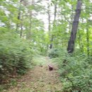 방동농장 이미지