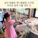 수지목장 | 애니멀클럽 수지점 실내동물원 여름방학 체험