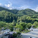 캠프우든브릿지 이미지