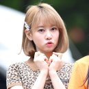 보라 티스토리