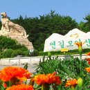 별찌 Daum카페