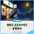 강남백년가약국 | 양천구 「공공심야약국」 운영 안내🌜🏥