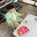 거창A글램핑 우중글램핑 분위기있음 / 경북 글램핑장