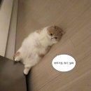 모란다목적공영주차장 이미지