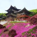 명상(심화) 이미지