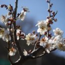 고수부지 이미지