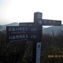 천령정비 Daum카페
