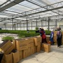 (주) 청야 이미지