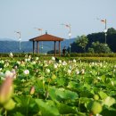 이화수전통육개장세종
