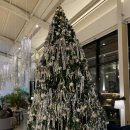 세천 작은도서관 | [벨베꼼메] 대구 세천 대형카페/연말분위기/야외불멍