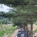 예그리나민박 이미지