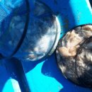 피싱스토리 이미지