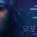 유포리아 이미지
