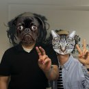 경식목장 이미지