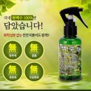 편백라이프
