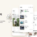 니즈마켓 이미지